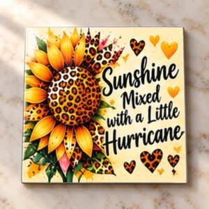 Sunshine Mixed with a Little Hurricane Magnet